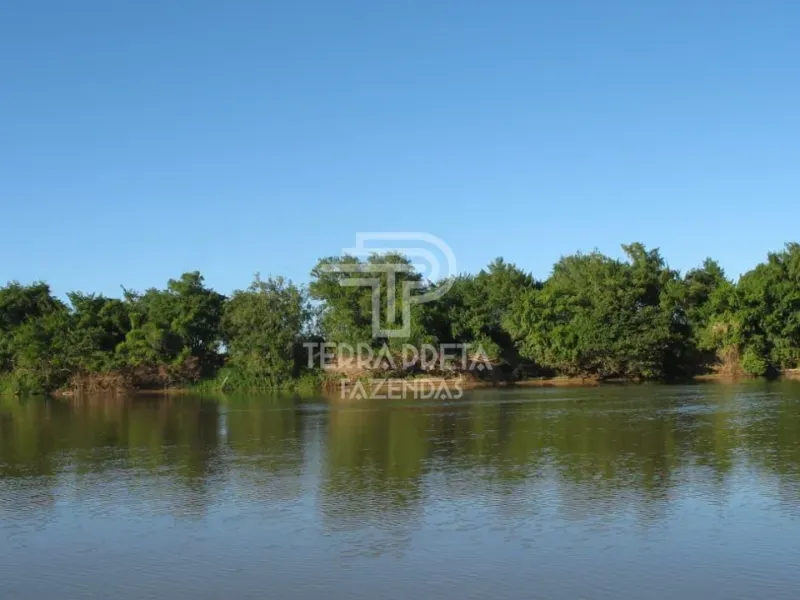 Fazenda em Pirapora/Minas Gerais — Ref 9TVQTL — Imagem 4