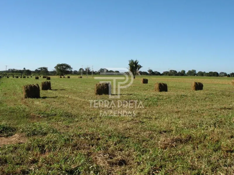 Fazenda em Pirapora/Minas Gerais — Ref 9TVQTL — Imagem 13