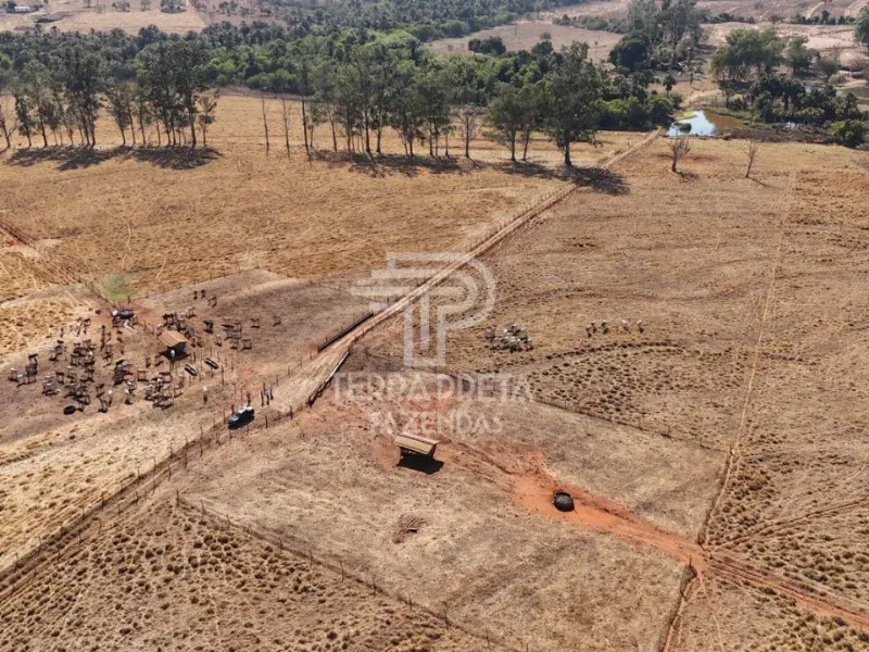 Fazenda em Uberlândia/Minas Gerais — Ref 9CBBWN — Imagem 9