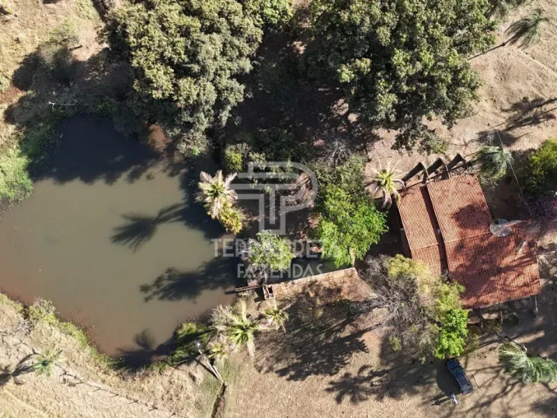 Fazenda em Uberlândia/Minas Gerais — Ref 9CBBWN — Imagem 5