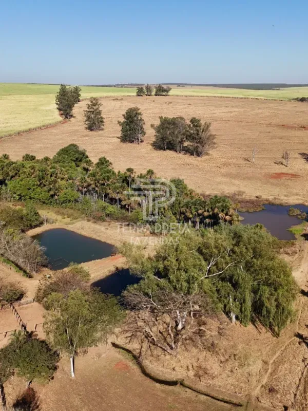 Fazenda em Uberlândia/Minas Gerais — Ref 9CBBWN — Imagem 3