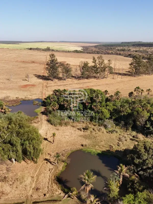 Fazenda em Uberlândia/Minas Gerais — Ref 9CBBWN — Imagem 7