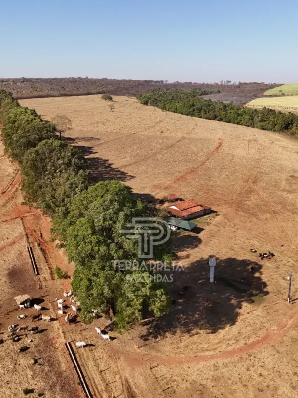 Fazenda em Uberlândia/Minas Gerais — Ref 9CBBWN — Imagem 14