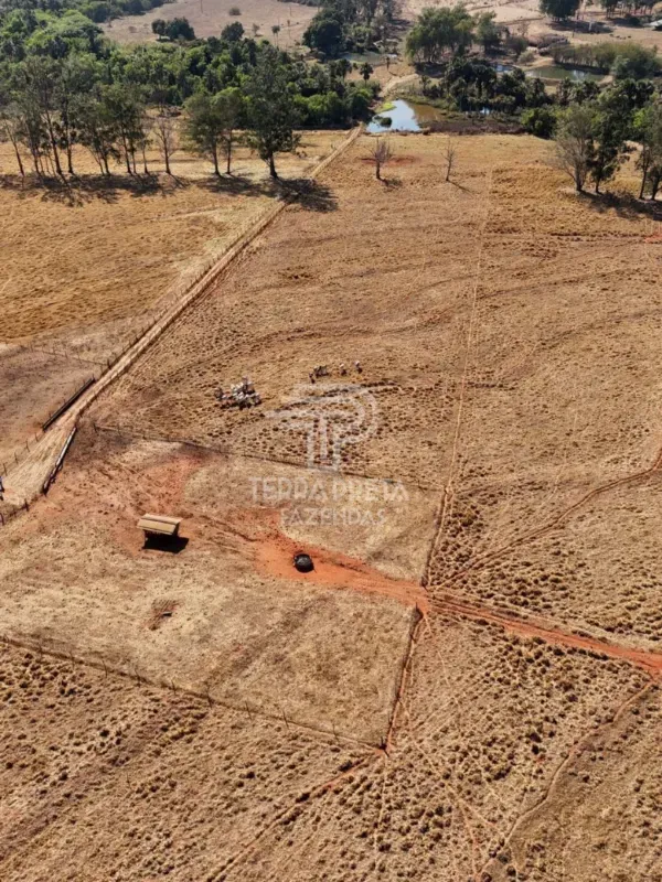 Fazenda em Uberlândia/Minas Gerais — Ref 9CBBWN — Imagem 15