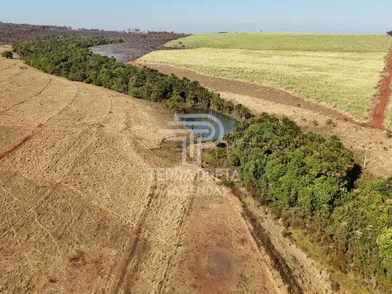 Fazenda em Uberlândia/Minas Gerais — Ref 9CBBWN — Imagem 8