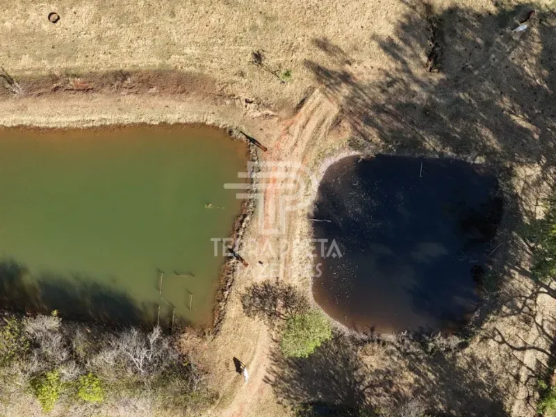 Fazenda em Uberlândia/Minas Gerais — Ref 9CBBWN — Imagem 6