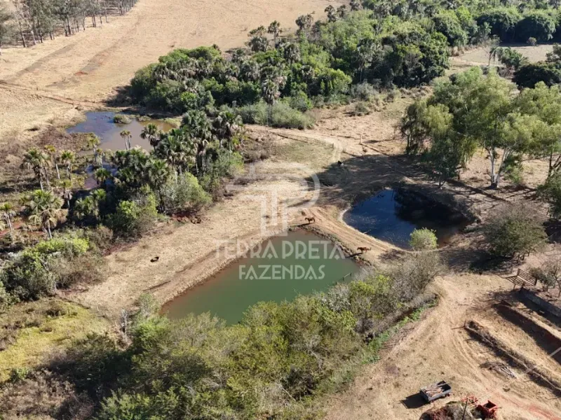 Fazenda em Uberlândia/Minas Gerais — Ref 9CBBWN — Imagem 2