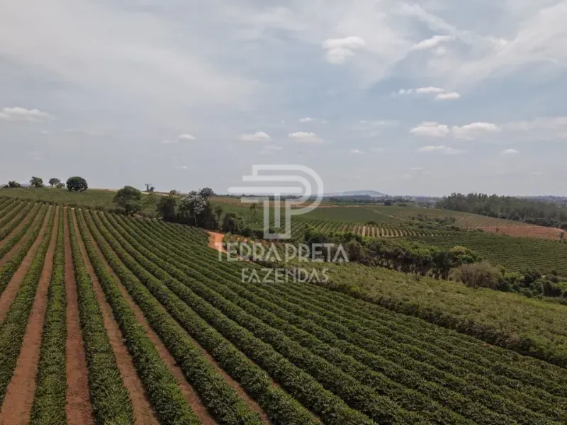 Fazenda em Alfenas/Minas Gerais — Ref AUUOWT — Imagem 3