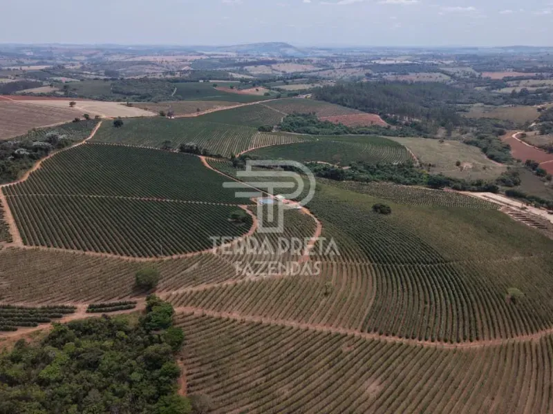 Fazenda em Alfenas/Minas Gerais — Ref AUUOWT — Imagem 6