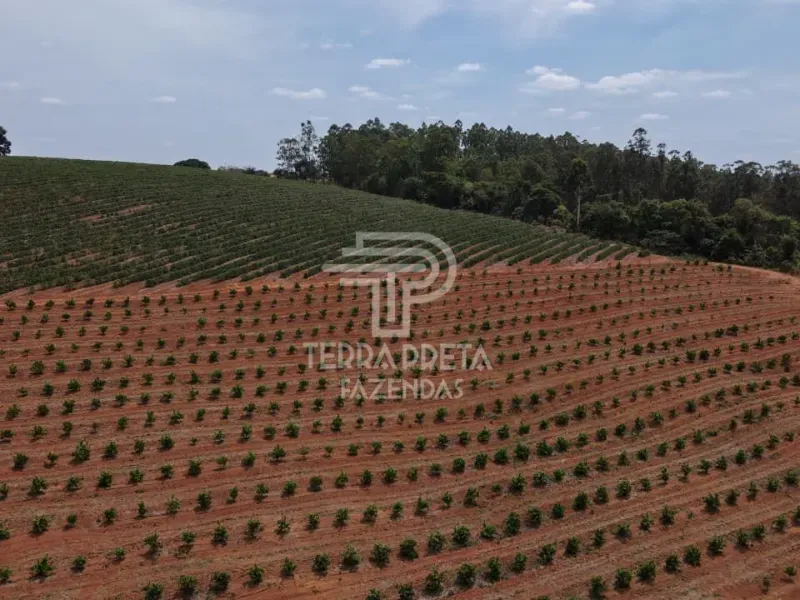 Fazenda em Alfenas/Minas Gerais — Ref AUUOWT — Imagem 11