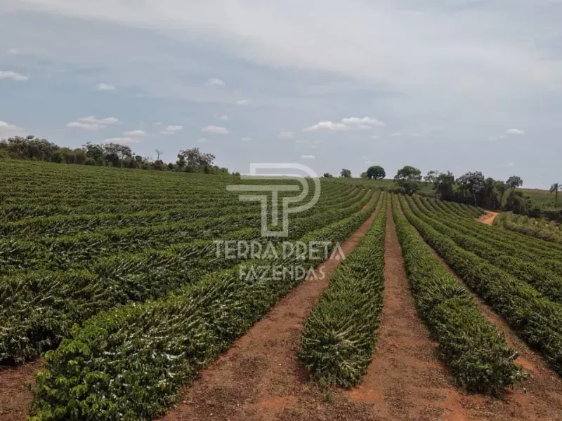 Fazenda em Alfenas/Minas Gerais — Ref AUUOWT — Imagem 4