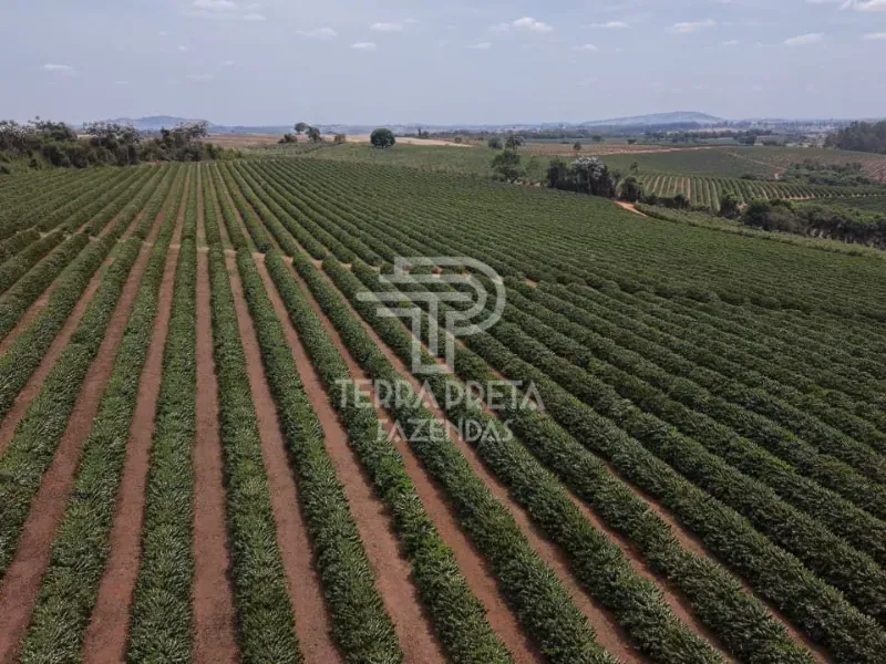 Imóvel rural em Alfenas/Minas Gerais — Ref AUUOWT1