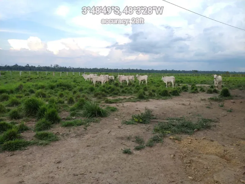 Fazenda em Paragominas/Pará — Ref 9GTS5E — Imagem 2