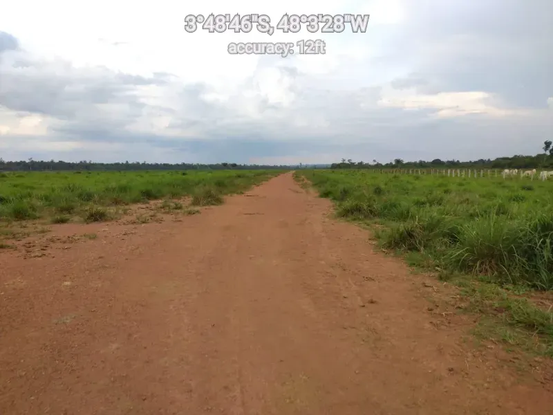 Fazenda em Paragominas/Pará — Ref 9GTS5E — Imagem 5