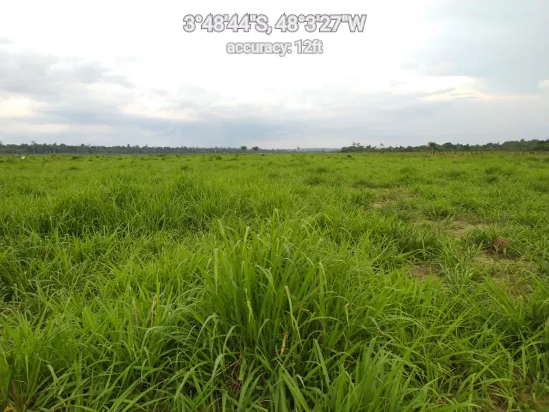 Fazenda em Paragominas/Pará — Ref 9GTS5E — Imagem 6