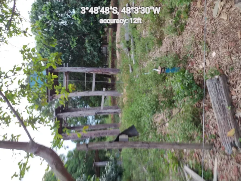 Fazenda em Paragominas/Pará — Ref 9GTS5E — Imagem 10