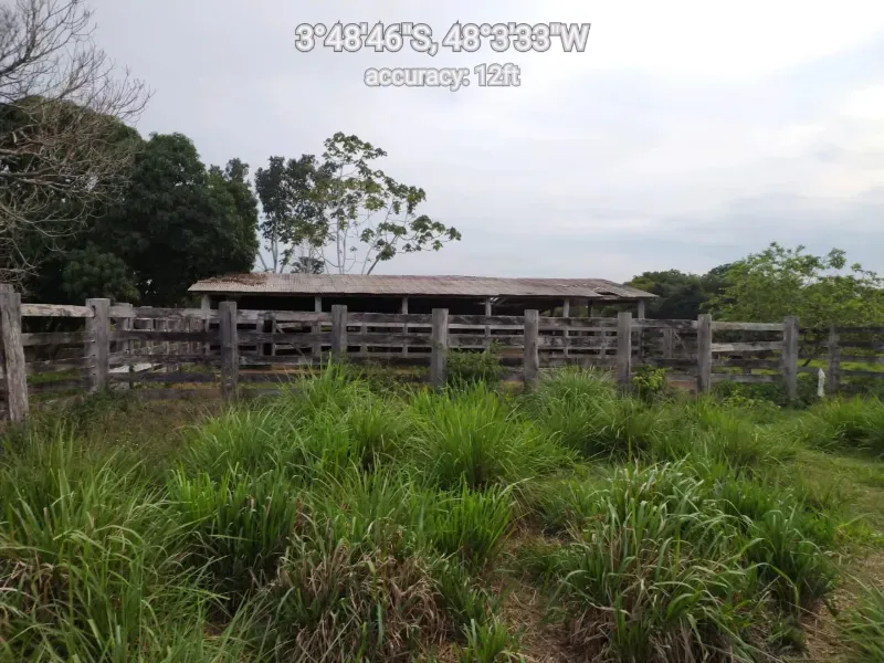 Fazenda em Paragominas/Pará — Ref 9GTS5E — Imagem 12