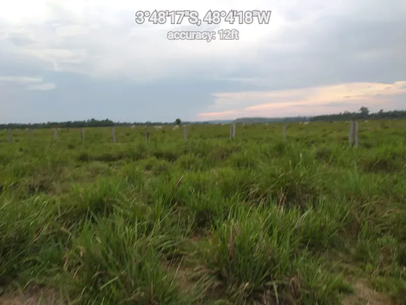 Fazenda em Paragominas/Pará — Ref 9GTS5E — Imagem 18