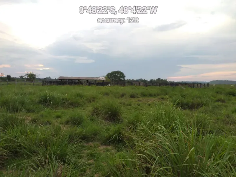 Fazenda em Paragominas/Pará — Ref 9GTS5E — Imagem 19