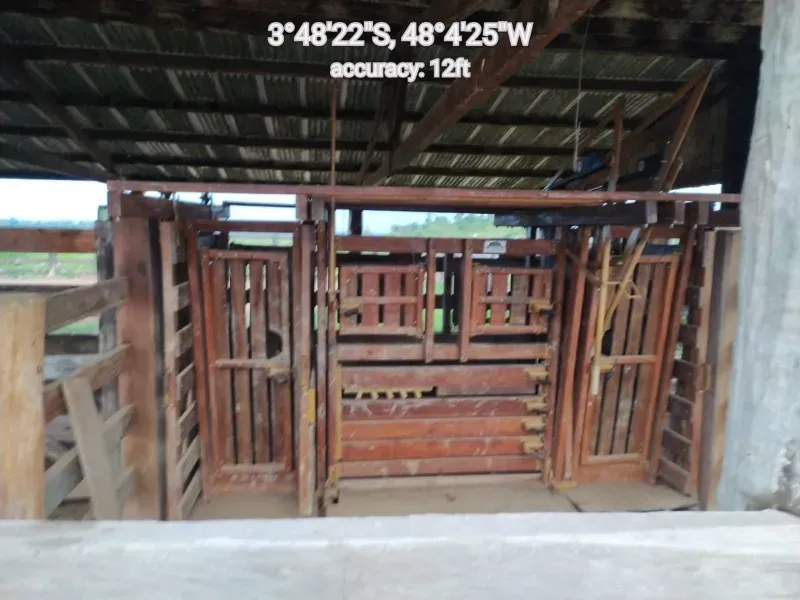 Fazenda em Paragominas/Pará — Ref 9GTS5E — Imagem 23