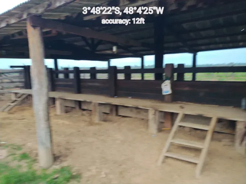 Fazenda em Paragominas/Pará — Ref 9GTS5E — Imagem 24