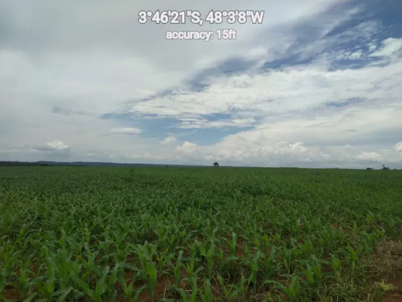 Fazenda em Paragominas/Pará — Ref 9GTS5E — Imagem 34