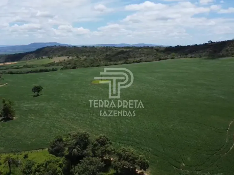 Fazenda em São João Batista do Glória/Minas Gerais — Ref 6YJAOY — Imagem 9