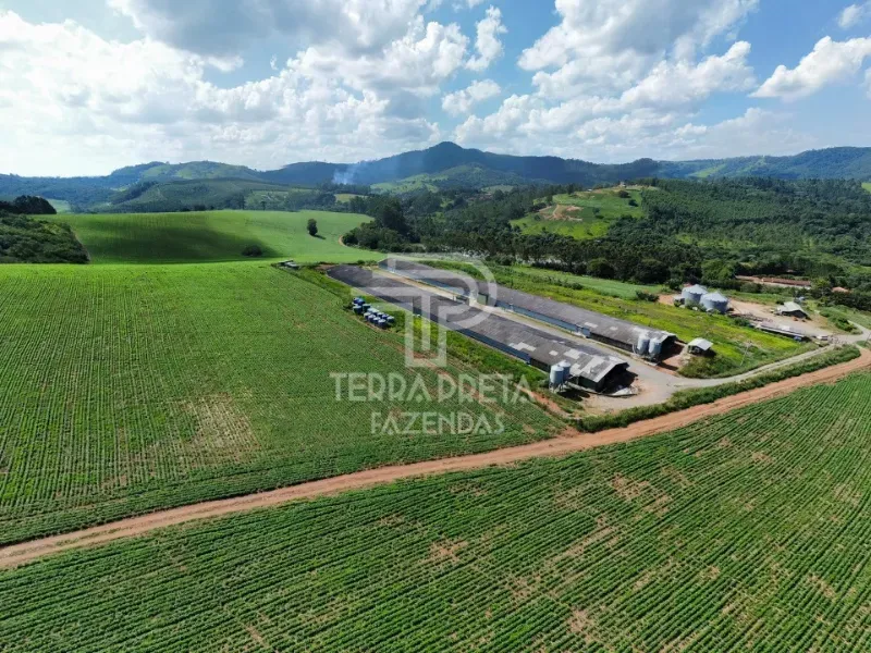 Fazenda em Bragança Paulista/São Paulo — Ref DSPWHM — Imagem 4