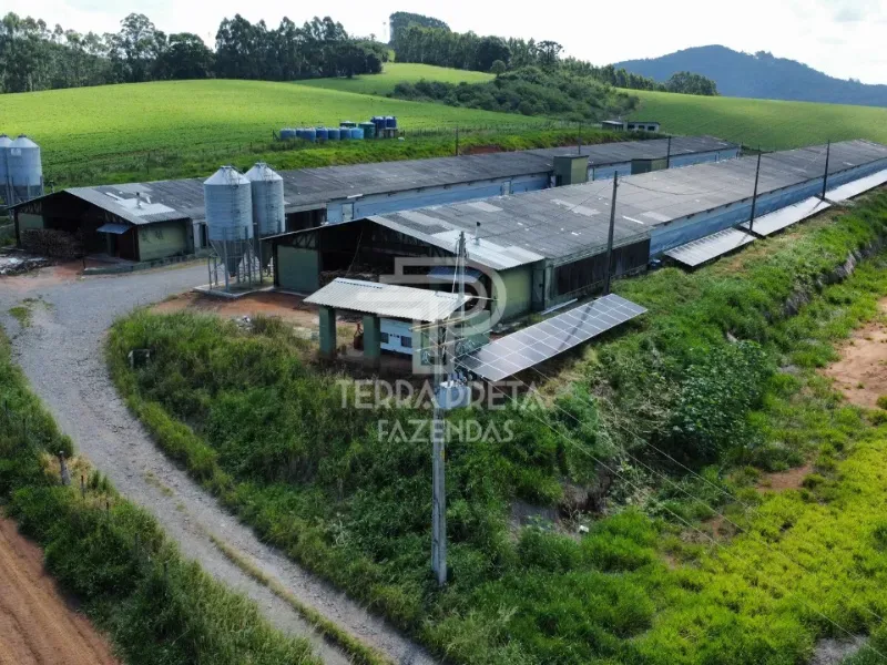 Fazenda em Bragança Paulista/São Paulo — Ref DSPWHM — Imagem 5