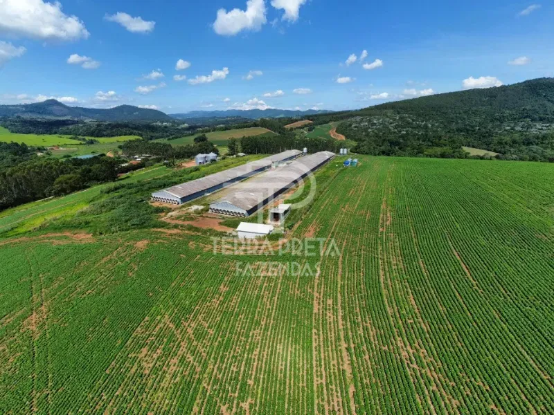 Fazenda em Bragança Paulista/São Paulo — Ref DSPWHM — Imagem 24