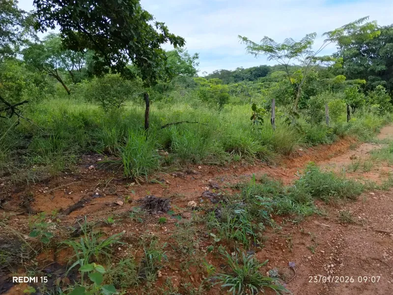 Fazenda em Niquelândia/Goiás — Ref F714AL — Imagem 8