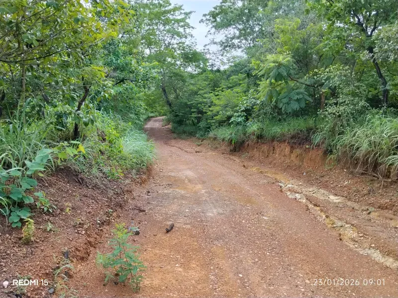 Fazenda em Niquelândia/Goiás — Ref F714AL — Imagem 9