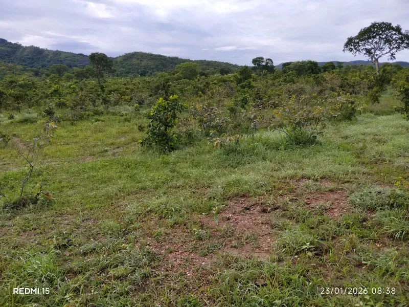 Fazenda em Niquelândia/Goiás — Ref F714AL — Imagem 10