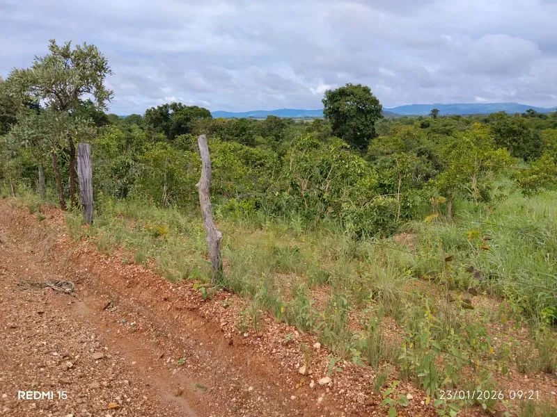 Fazenda em Niquelândia/Goiás — Ref F714AL — Imagem 11