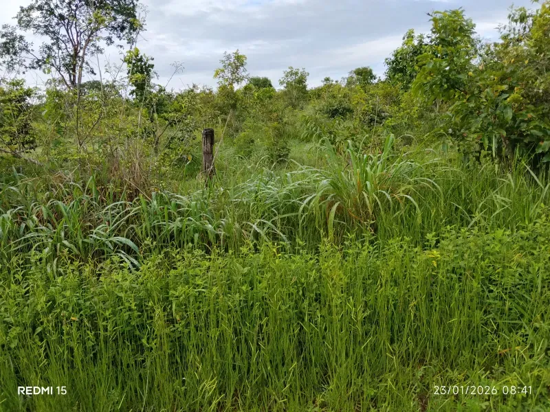 Fazenda em Niquelândia/Goiás — Ref F714AL — Imagem 12
