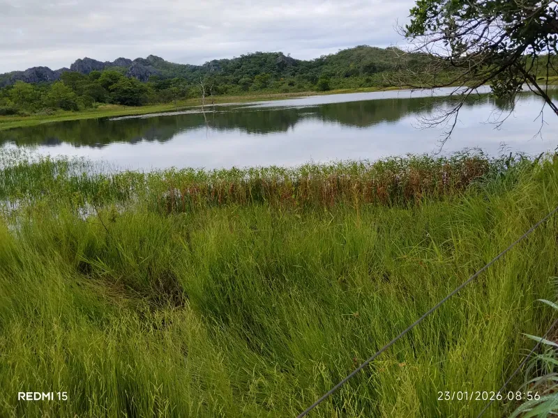 Fazenda em Niquelândia/Goiás — Ref F714AL — Imagem 4