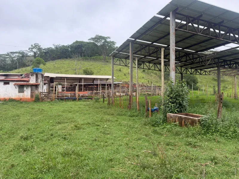 Fazenda em Malacacheta/Minas Gerais — Ref KD9S38 — Imagem 22