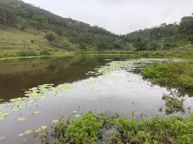 Fazenda em Malacacheta/Minas Gerais — Ref KD9S38 — Imagem 2
