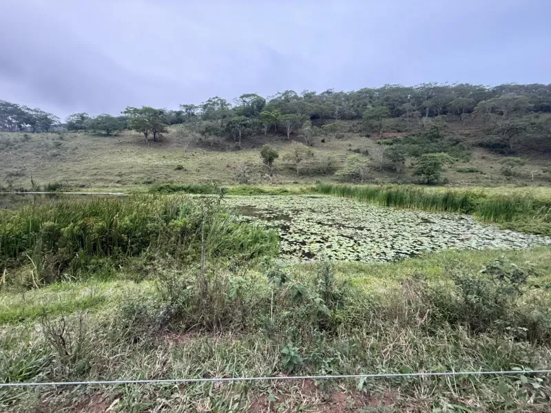 Fazenda em Malacacheta/Minas Gerais — Ref KD9S38 — Imagem 4