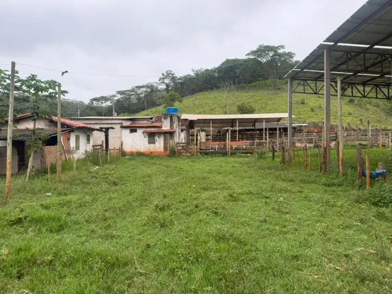 Fazenda em Malacacheta/Minas Gerais — Ref KD9S38 — Imagem 21