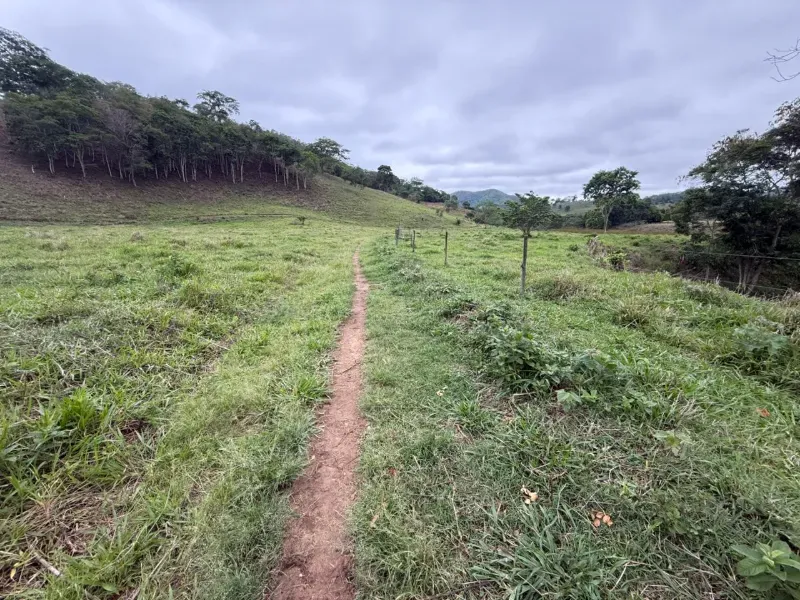 Fazenda em Malacacheta/Minas Gerais — Ref KD9S38 — Imagem 17