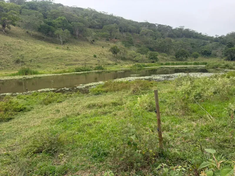 Fazenda em Malacacheta/Minas Gerais — Ref KD9S38 — Imagem 33