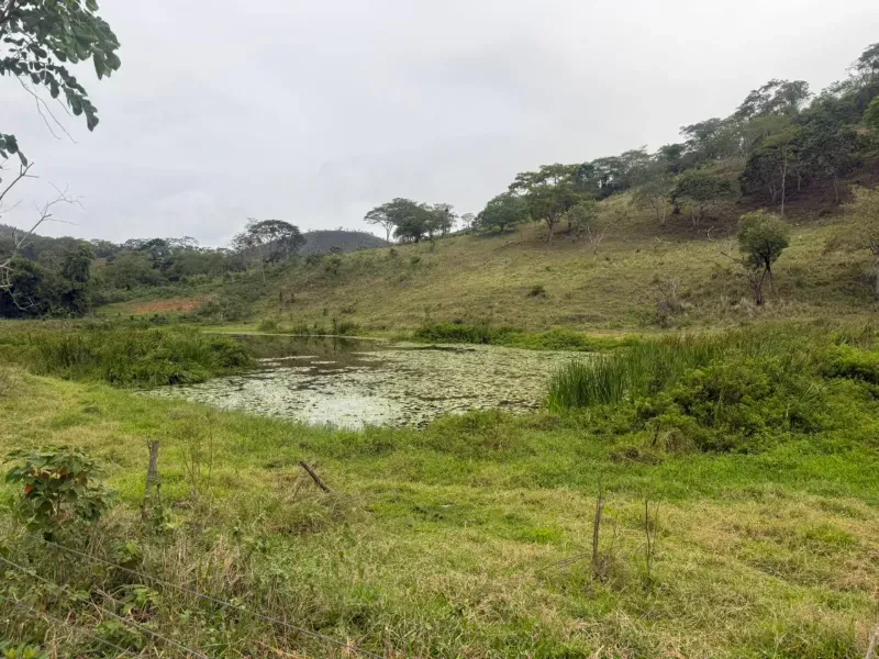 Fazenda em Malacacheta/Minas Gerais — Ref KD9S38 — Imagem 34