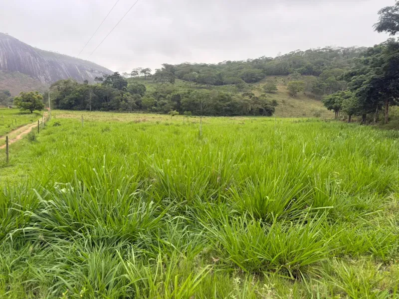 Fazenda em Malacacheta/Minas Gerais — Ref KD9S38 — Imagem 36