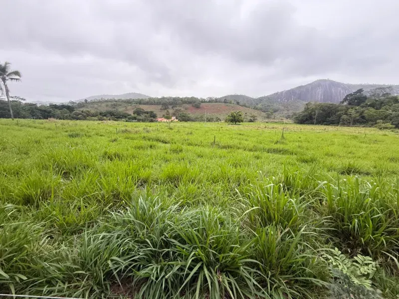 Fazenda em Malacacheta/Minas Gerais — Ref KD9S38 — Imagem 41