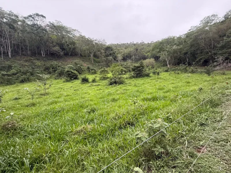 Fazenda em Malacacheta/Minas Gerais — Ref KD9S38 — Imagem 43