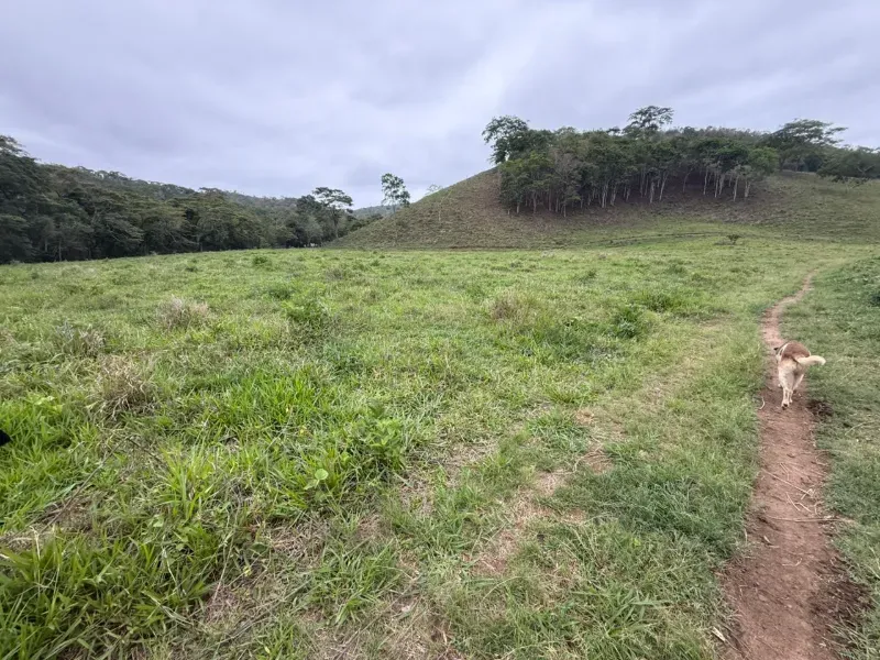 Fazenda em Malacacheta/Minas Gerais — Ref KD9S38 — Imagem 45