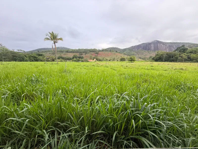Fazenda em Malacacheta/Minas Gerais — Ref KD9S38 — Imagem 46