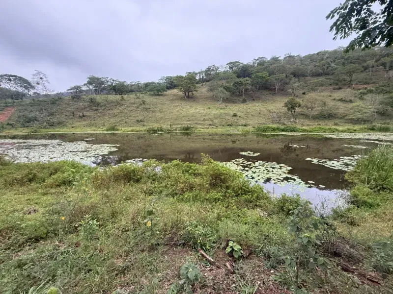 Fazenda em Malacacheta/Minas Gerais — Ref KD9S38 — Imagem 3