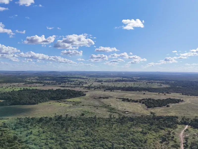Fazenda em Nova Xavantina/Mato Grosso — Ref R7WN5M — Imagem 10